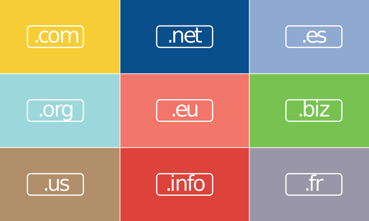Dominio Web